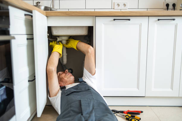 Boilers & Radiators